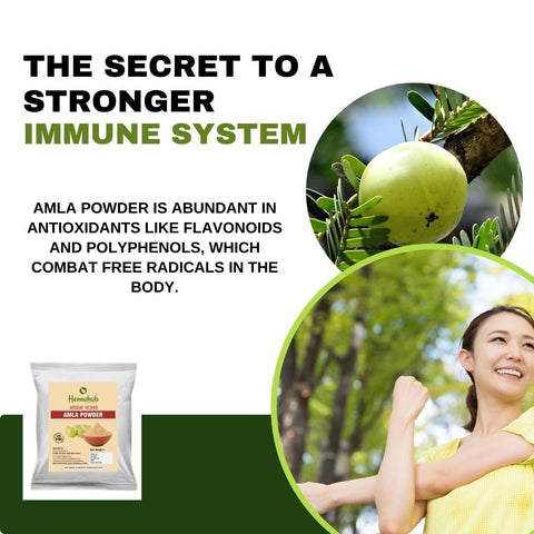 HENNAHUB Natural NEW HAIRCARE POWDER