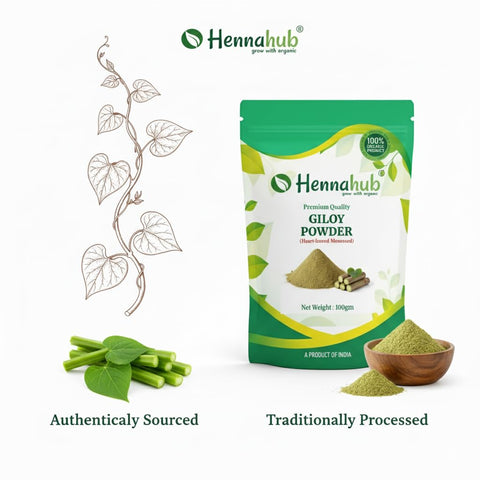 Hennahub Giloy Powder (Food Grade) 100gm Pack | Pure Tinospora cordifolia Stem Powder | Traditional Ingredient for Herbal Drinks, Smoothies & Kadha